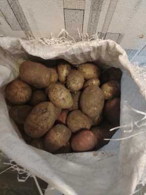 Молодая картошка