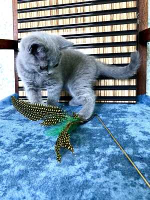 ���������� ������