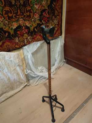 Палка-клюка-паук