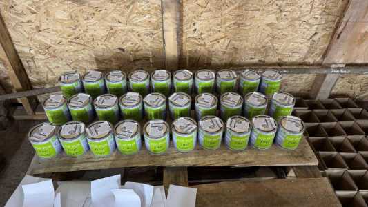 �����-����� ECP PUR