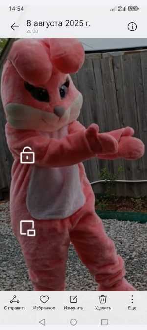 Продам для праздника.