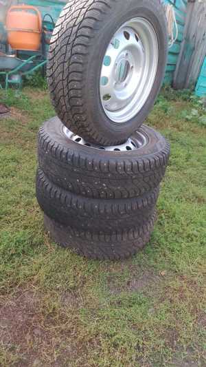 BOSCO NORDICO VIattI