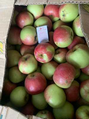 Яблоки. Новый урожай!