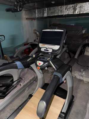 беговые дорожки TRUE Fitness CS 650/600