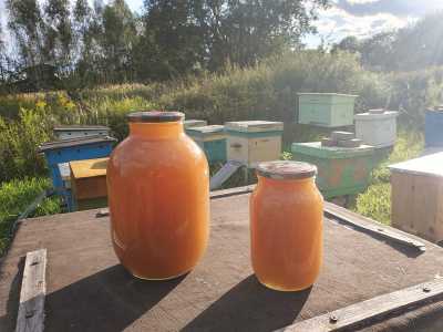 Продажа меда