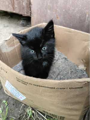 � ������ ����