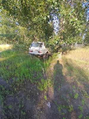 ���� ���, 1989