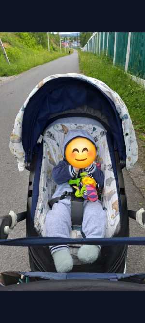 ������ ���� ���������� ������� Stokke Trailz 2 � 1.
