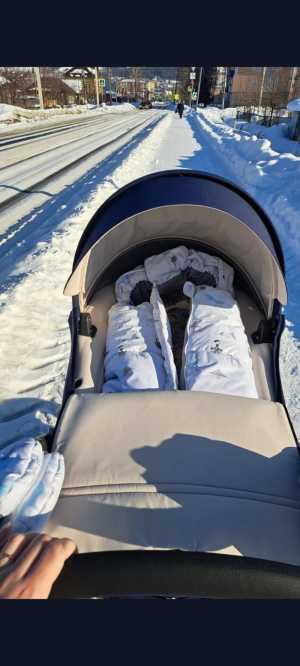 ������ ���� ���������� ������� Stokke Trailz 2 � 1.