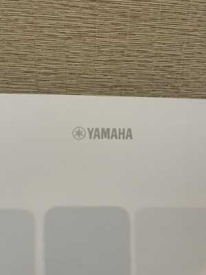 �������� ������� Yamaha Arius