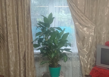 Занавески трёх ярусные. В отличном состоянии.