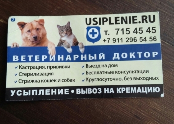 Ветеринарная помощь Выездвет
