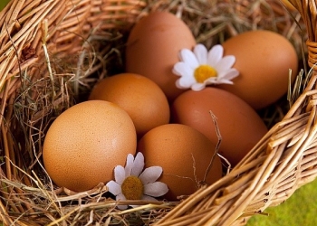 яйца деревенские