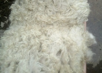 Продам пух козий ангора