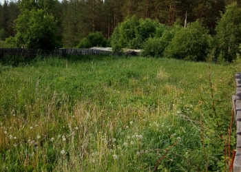 Продам 10 соток земли