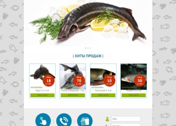 Создание сайтов, Реклама Яндекс Директ и Google Adwords