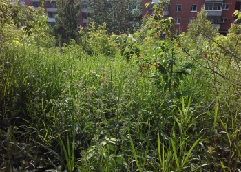продается погреб-яма