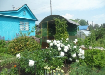 продажа сада