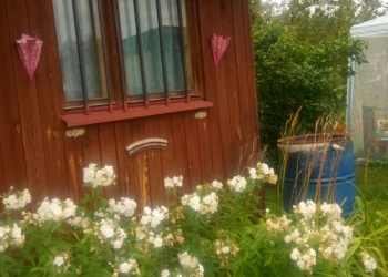 Участок 6 соток, рядом с г.Ногинском, СНТ Ажур