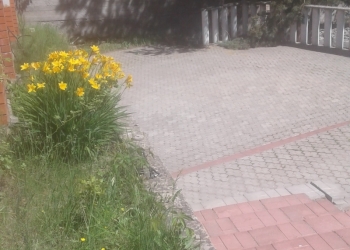 Коттеджи и дома