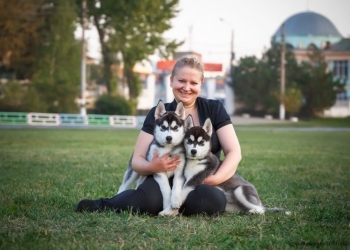 Щенки из питомника РКФ
