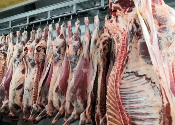 Говядина, баранина, мясо птицы, субпродукты, в ассортименте