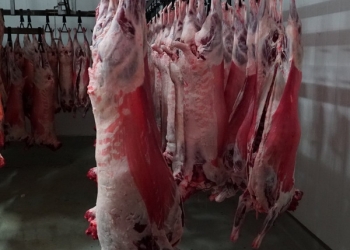 Говядина, баранина, мясо птицы, субпродукты, в ассортименте