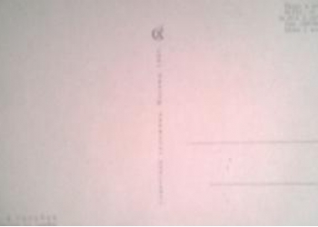 открытка с зайцем