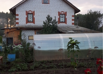 Дача СНТ Успех