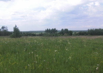 Участок для усадьбы рядом с городом