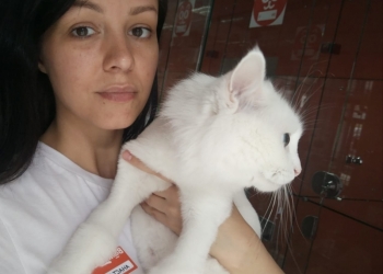 передержка домашних животных