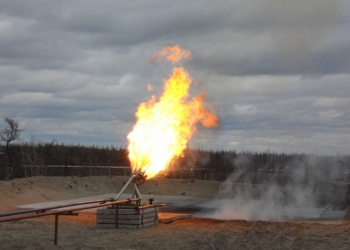 Горелка для сжигания нефти