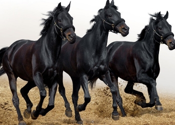 Отделочные материалы