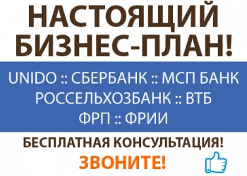 Нужен профессиональный бизнес-план?