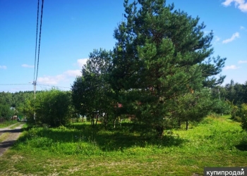 Продам участок 12 соток СТУПИНСКИЙ Р-ОН БЛИЖЕ К МОСКВЕ