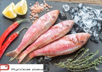 Барабулька