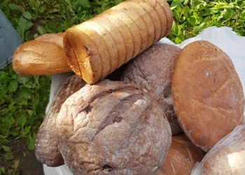 Хлеб для животных