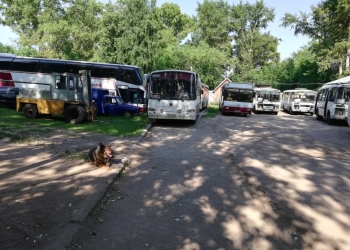 Продаю готовый бизнес