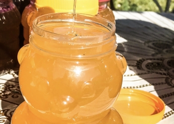 Мёд башкирский