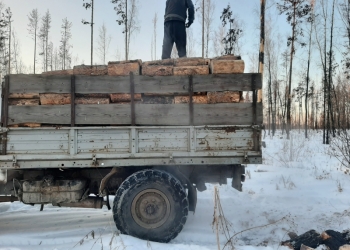 Дрова