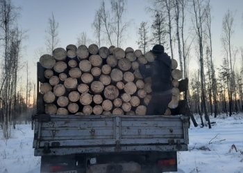 Дрова