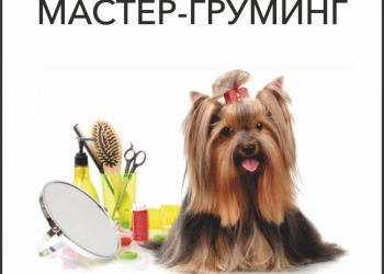 Стрижки собак и кошек
