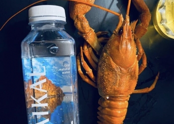 Живые раки