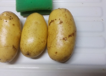 Картофель