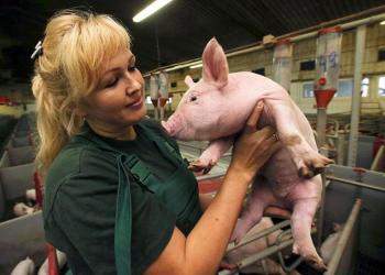 Разнорабочий