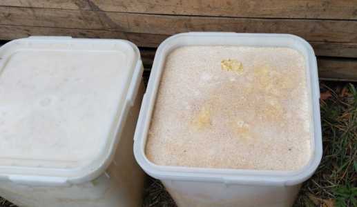 Продам мед.