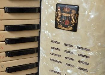 Аккордеон маленький