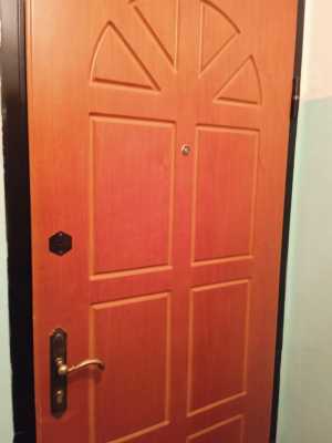 Дверь железная