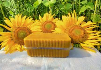 Пчелиный воск