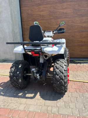 Forte Braves 200